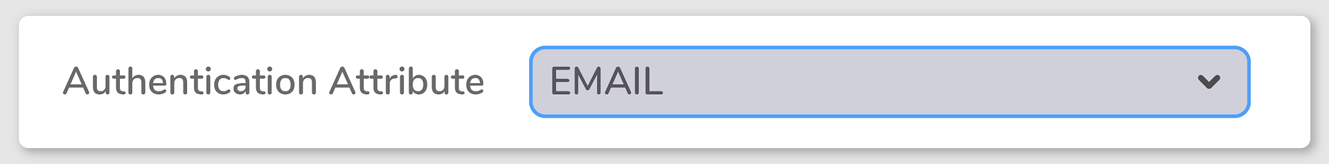 authentication attribute email