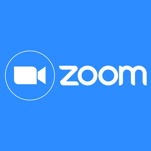 zoom-horizontal-logo